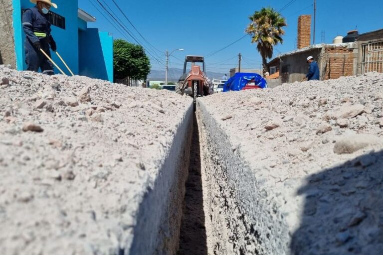 WhatsApp Image 2023-06-12 at 1.09.28 PM