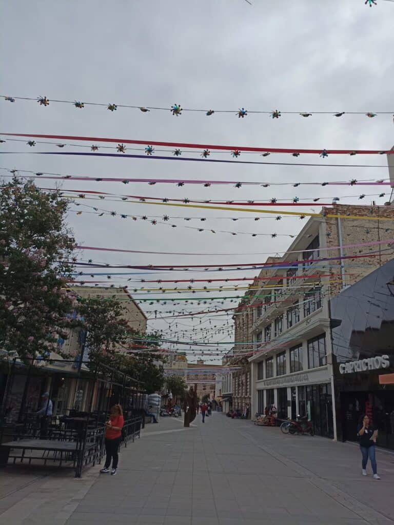 WhatsApp Image 2023-06-12 at 2.19.18 PM