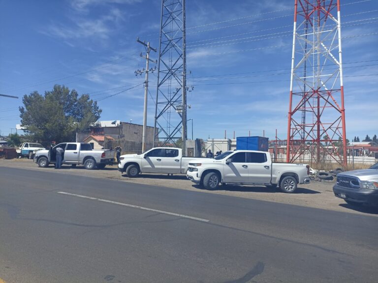 WhatsApp Image 2023-06-14 at 12.17.12 PM