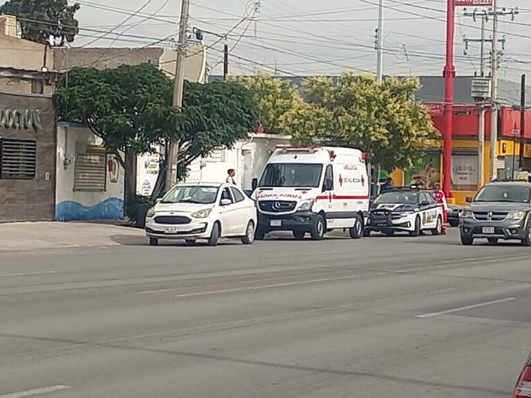 WhatsApp Image 2023-06-14 at 8.18.42 AM