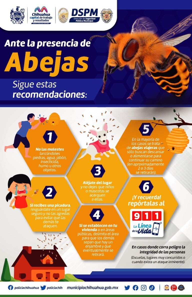 WhatsApp Image 2023-06-17 at 9.02.22 AM