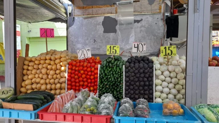 frutas y verduras