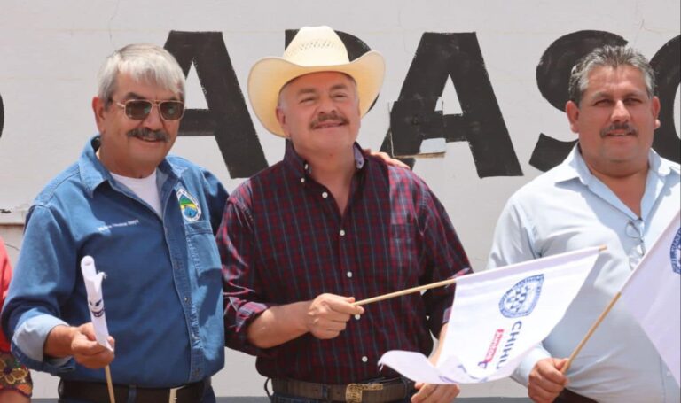 WhatsApp Image 2023-07-02 at 10.01.15 AM