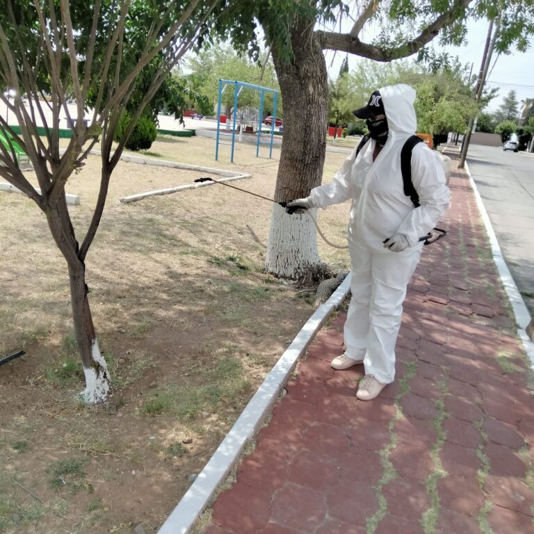 Fumigación chihuahua