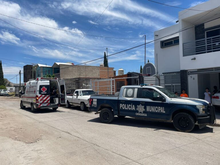 WhatsApp Image 2023-07-03 at 12.36.22 PM (1)