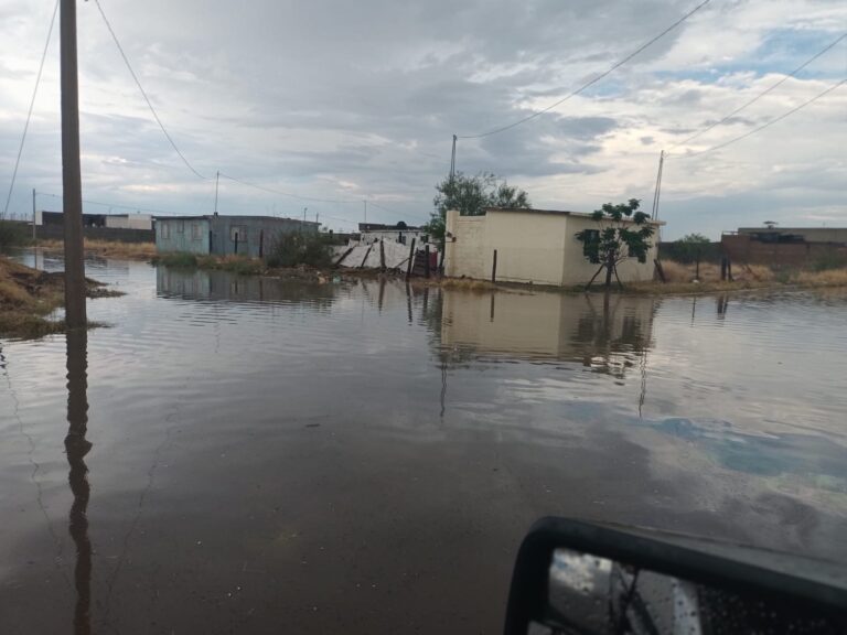 WhatsApp Image 2023-07-04 at 9.15.47 PM