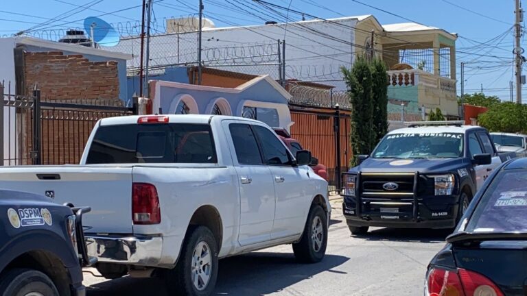 WhatsApp Image 2023-07-06 at 2.32.45 PM