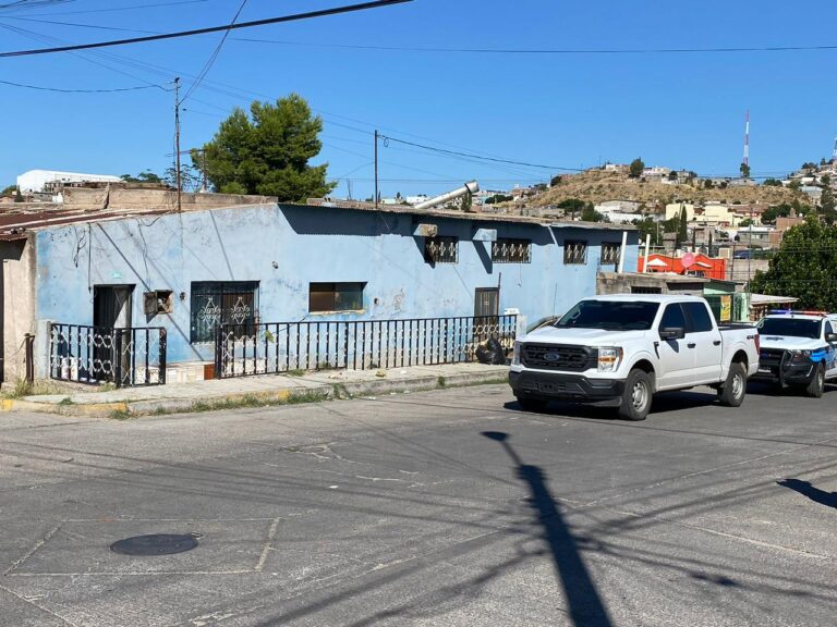 WhatsApp Image 2023-07-07 at 10.13.14 AM