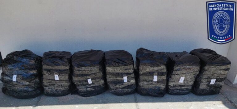 WhatsApp Image 2023-07-07 at 11.02.39 AM