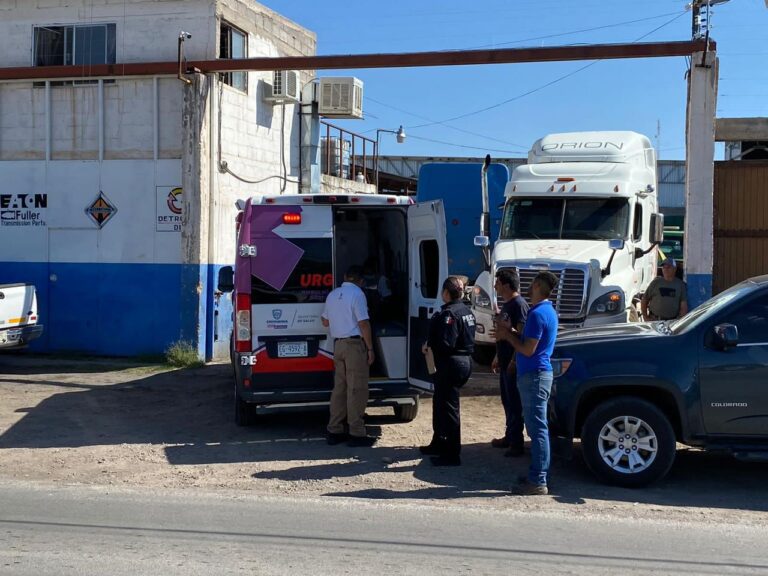 WhatsApp Image 2023-07-11 at 9.34.49 AM