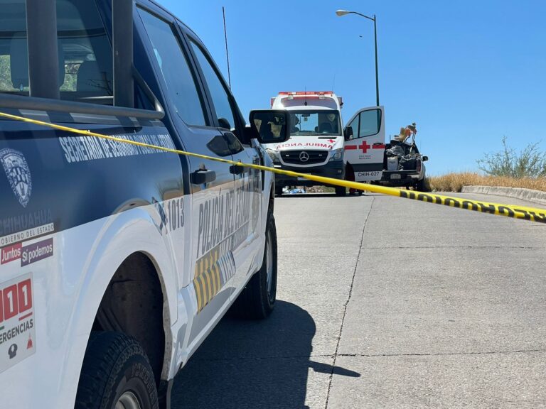 WhatsApp Image 2023-07-13 at 10.55.16 AM