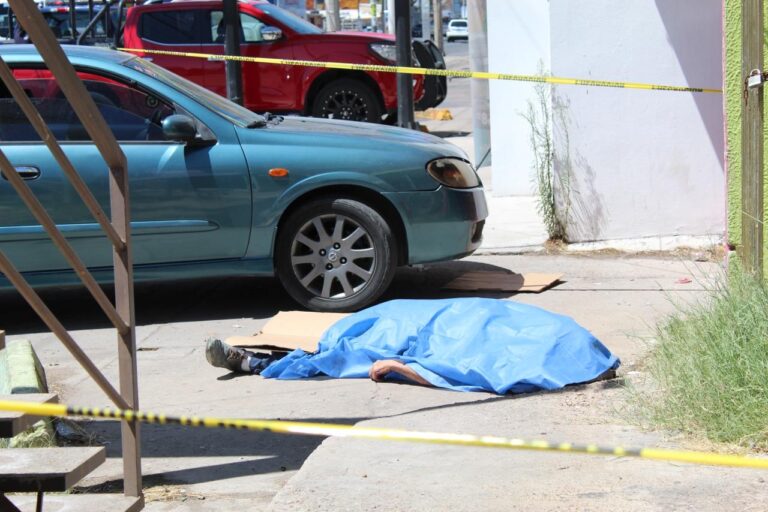 WhatsApp Image 2023-07-14 at 10.39.11 AM