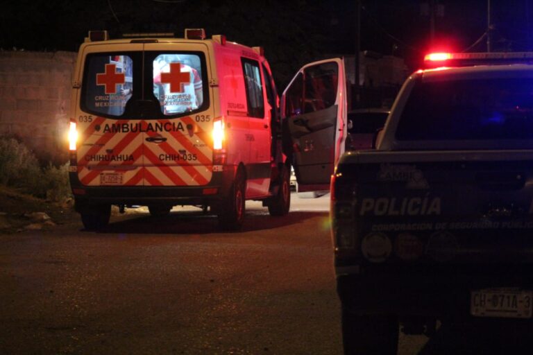 WhatsApp Image 2023-07-31 at 11.13.20 PM