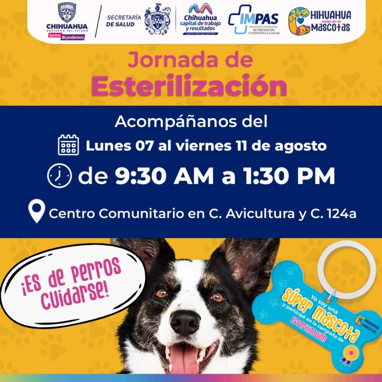 esterilización