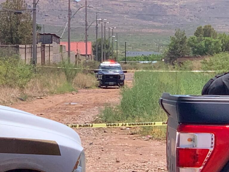 WhatsApp Image 2023-08-03 at 11.27.58 AM