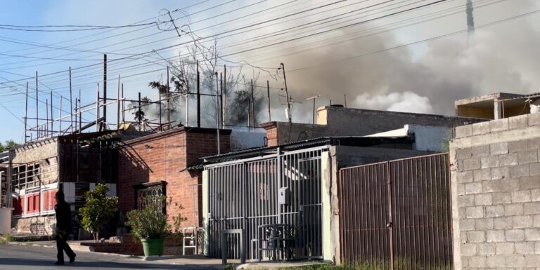 WhatsApp Image 2023-08-07 at 8.03.34 AM