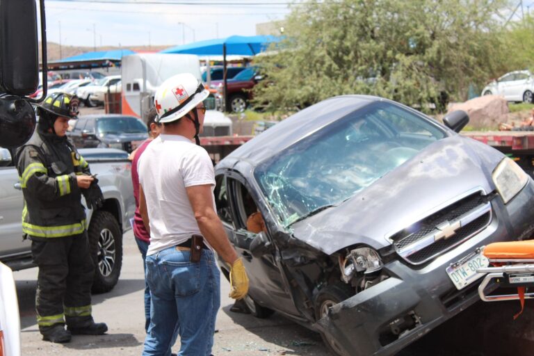 WhatsApp Image 2023-08-12 at 12.48.13 PM