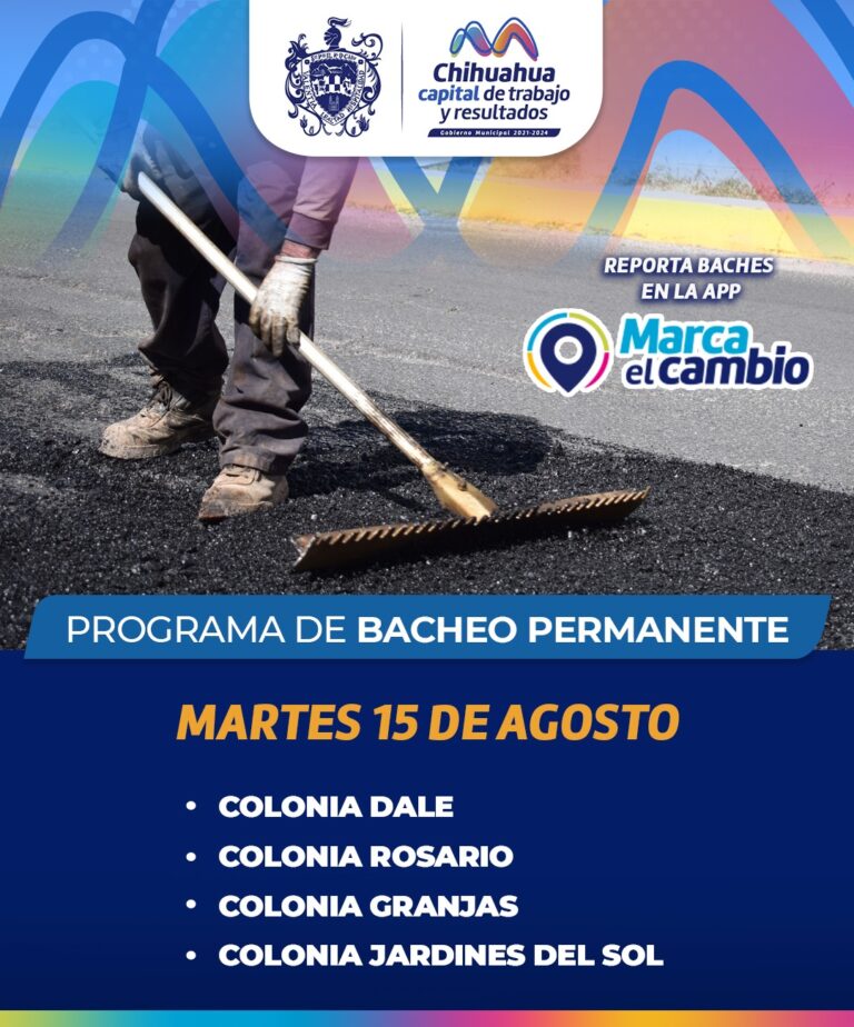 bacheo