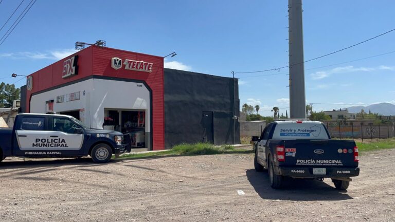 WhatsApp Image 2023-08-19 at 11.47.24