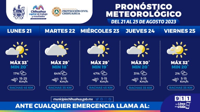 WhatsApp Image 2023-08-21 at 9.46.41 AM