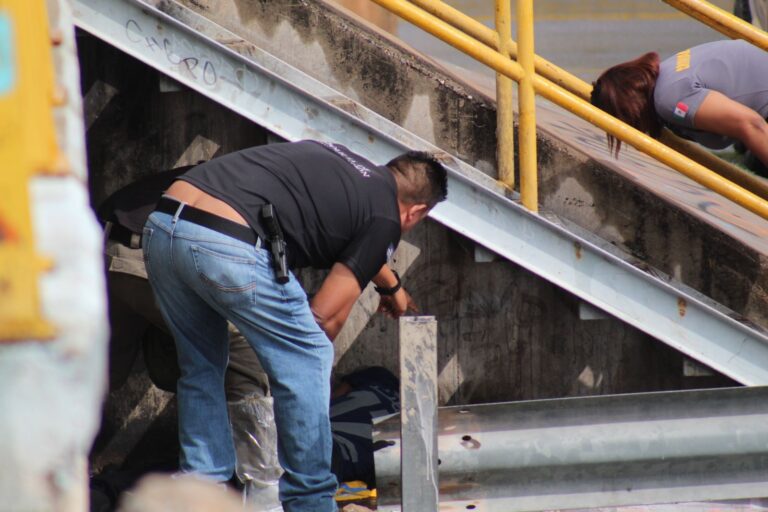 WhatsApp Image 2023-08-29 at 09.33.31