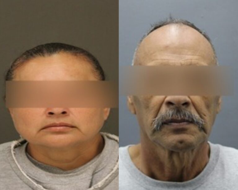 GridArt_20230919_125303062