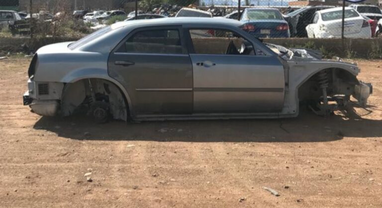 Polish_20230923_105834782