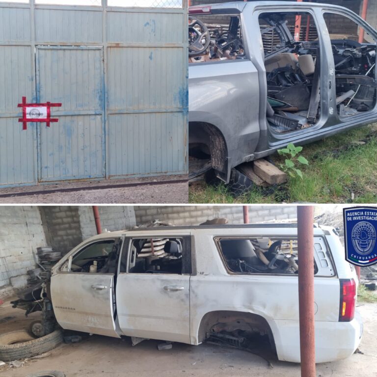 Polish_20230926_131030633