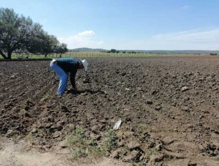 Polish_20230927_092744205