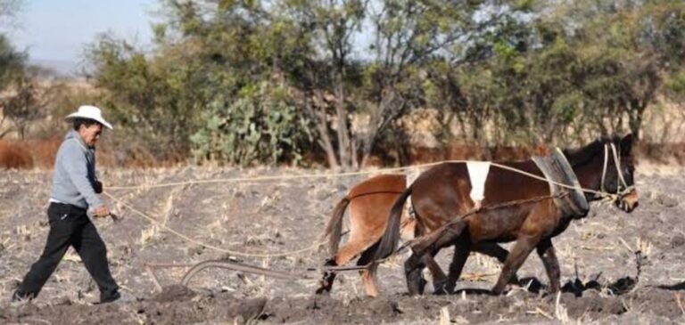 Polish_20230928_160755181