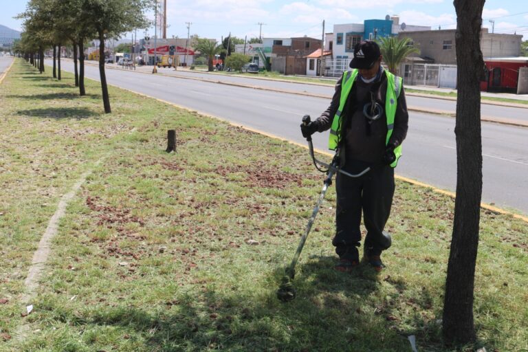 WhatsApp Image 2023-09-05 at 8.59.33 AM