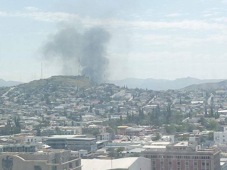 WhatsApp Image 2023-09-06 at 11.47.04