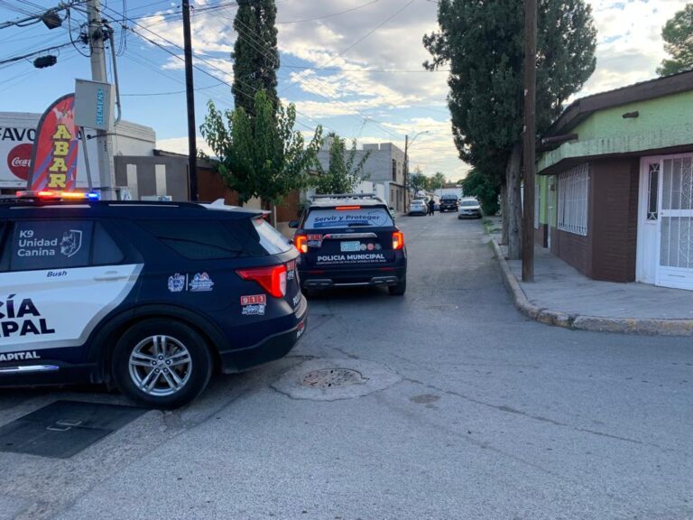 WhatsApp Image 2023-09-06 at 18.03.29