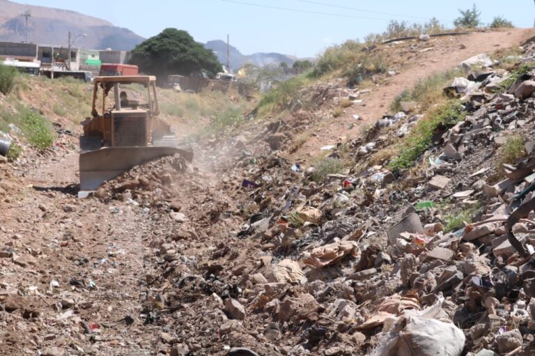 WhatsApp Image 2023-09-07 at 11.21.48 AM