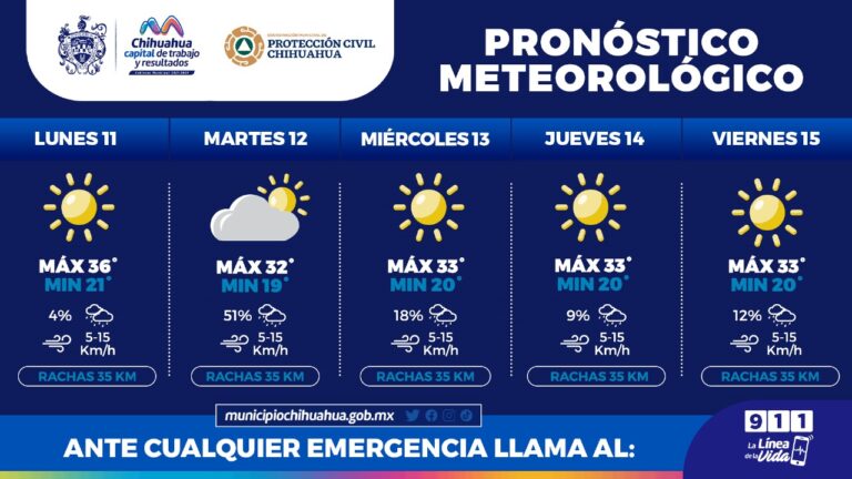 WhatsApp Image 2023-09-11 at 9.48.45 AM