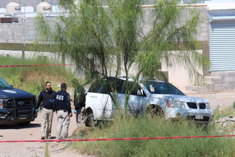 WhatsApp Image 2023-09-19 at 11.02.12