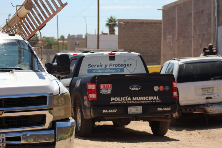 WhatsApp Image 2023-09-25 at 12.07.12