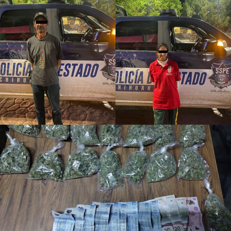 Polish_20231002_113633607