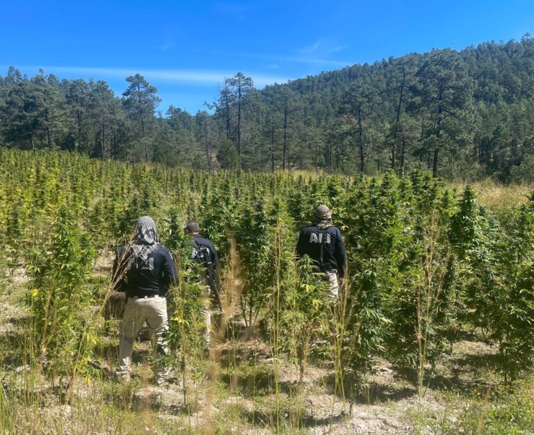 Polish_20231004_133636331