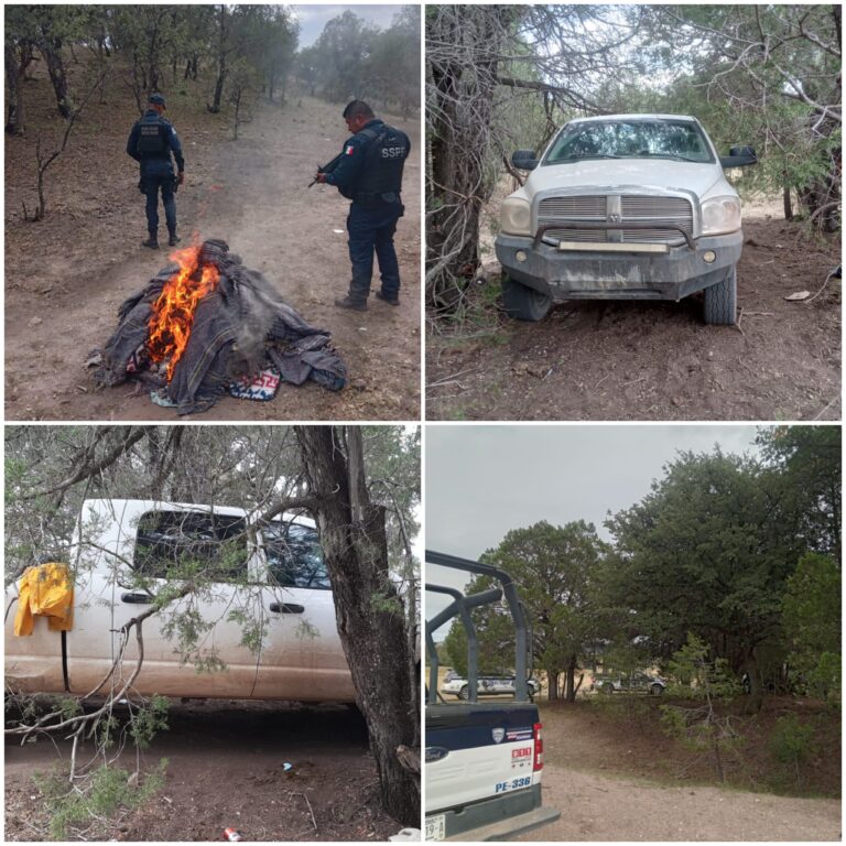 Polish_20231007_090554724