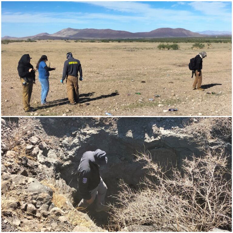 Polish_20231009_162725479