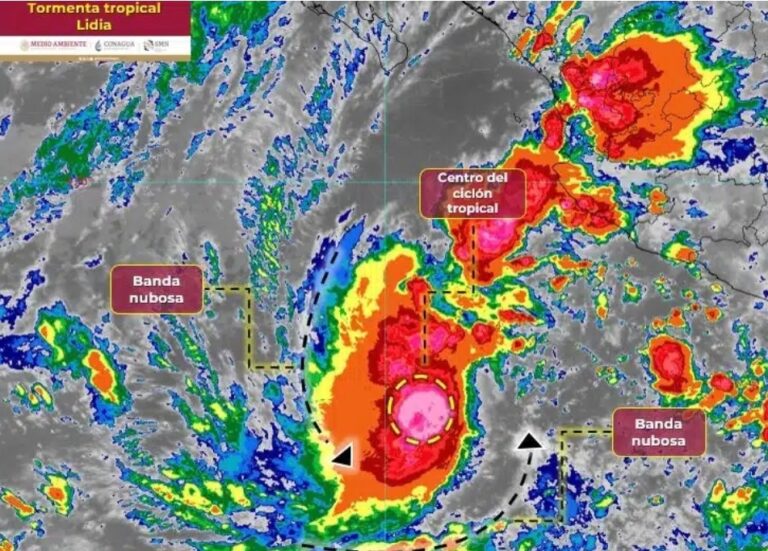 Polish_20231010_134452902