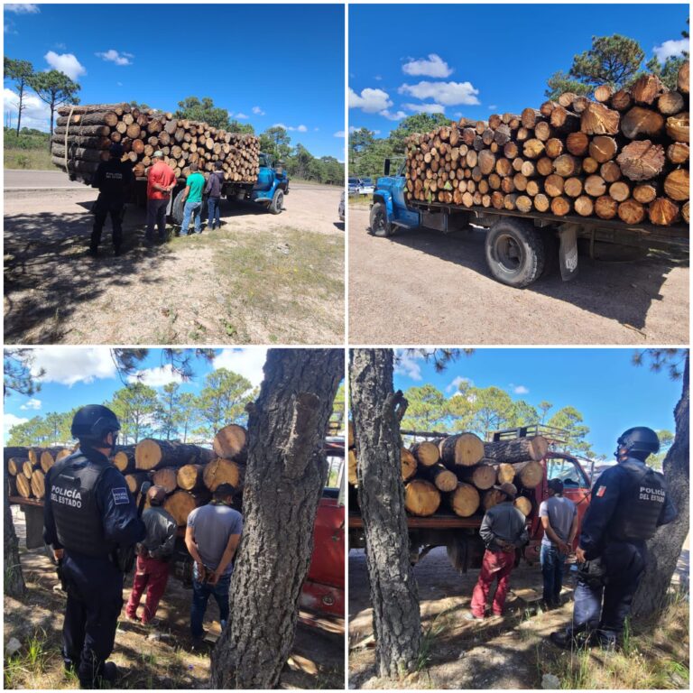 Polish_20231014_210644553