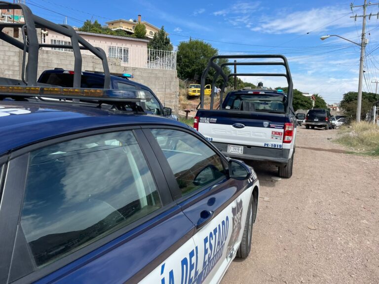 WhatsApp Image 2023-10-02 at 12.09.14