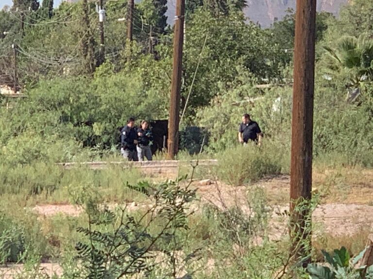 WhatsApp Image 2023-10-04 at 10.29.02