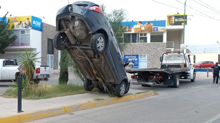 WhatsApp Image 2023-10-06 at 08.08.54