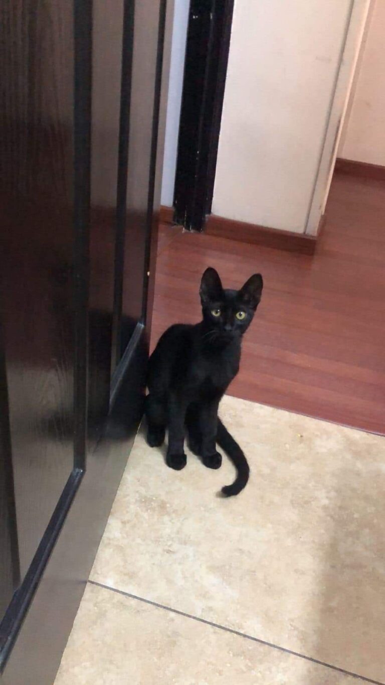 WhatsApp Image 2023-10-10 at 08.39.21