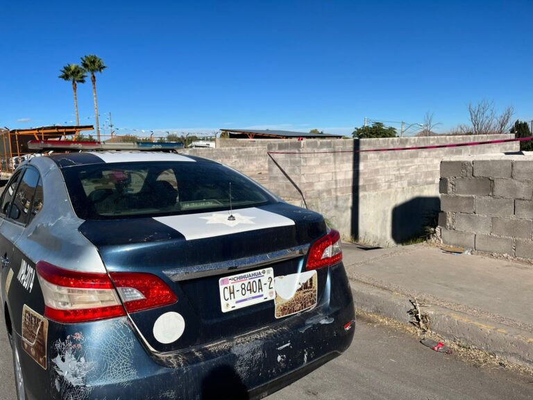 WhatsApp Image 2023-10-24 at 10.30.14 AM (1)