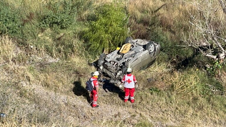 WhatsApp Image 2023-10-26 at 09.48.46