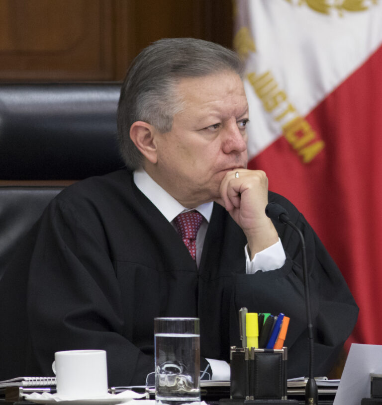 Ministro_Presidente_Arturo_Zaldívar_(cropped)